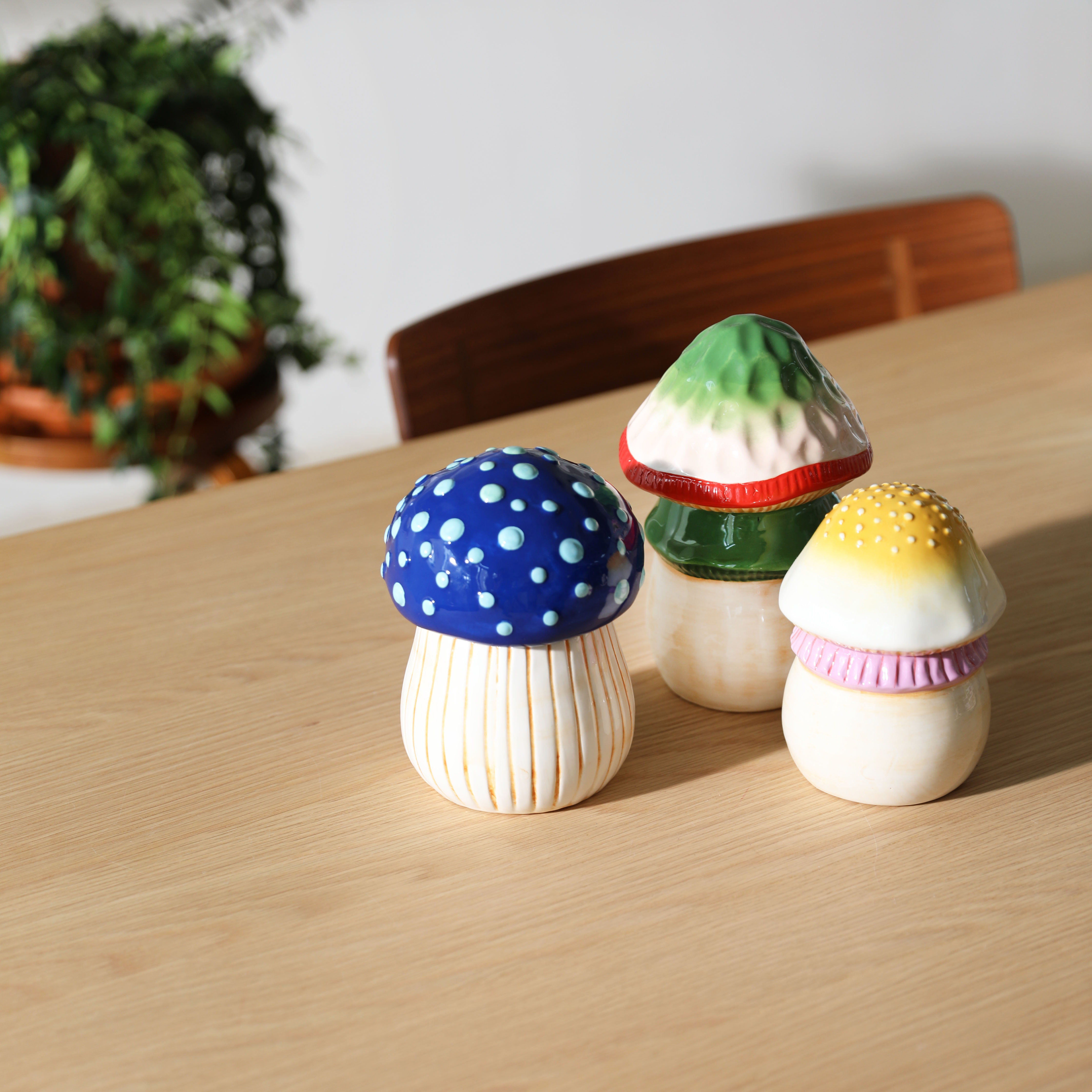 Jar magic mushroom medium