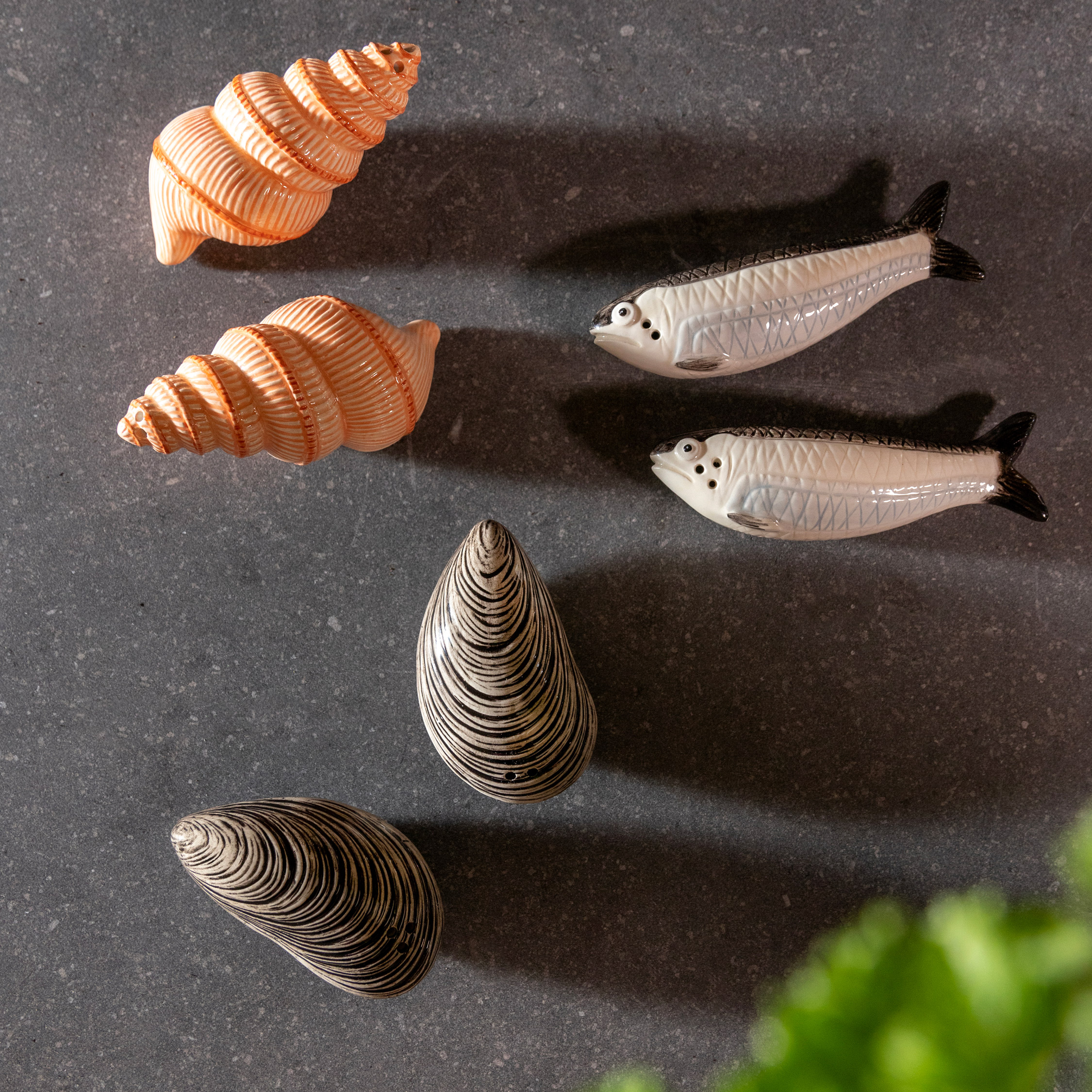 Salt & pepper shell