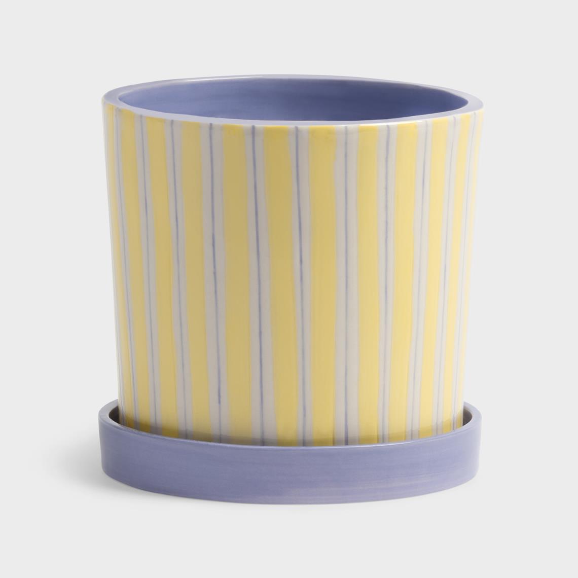Planter ray yellow