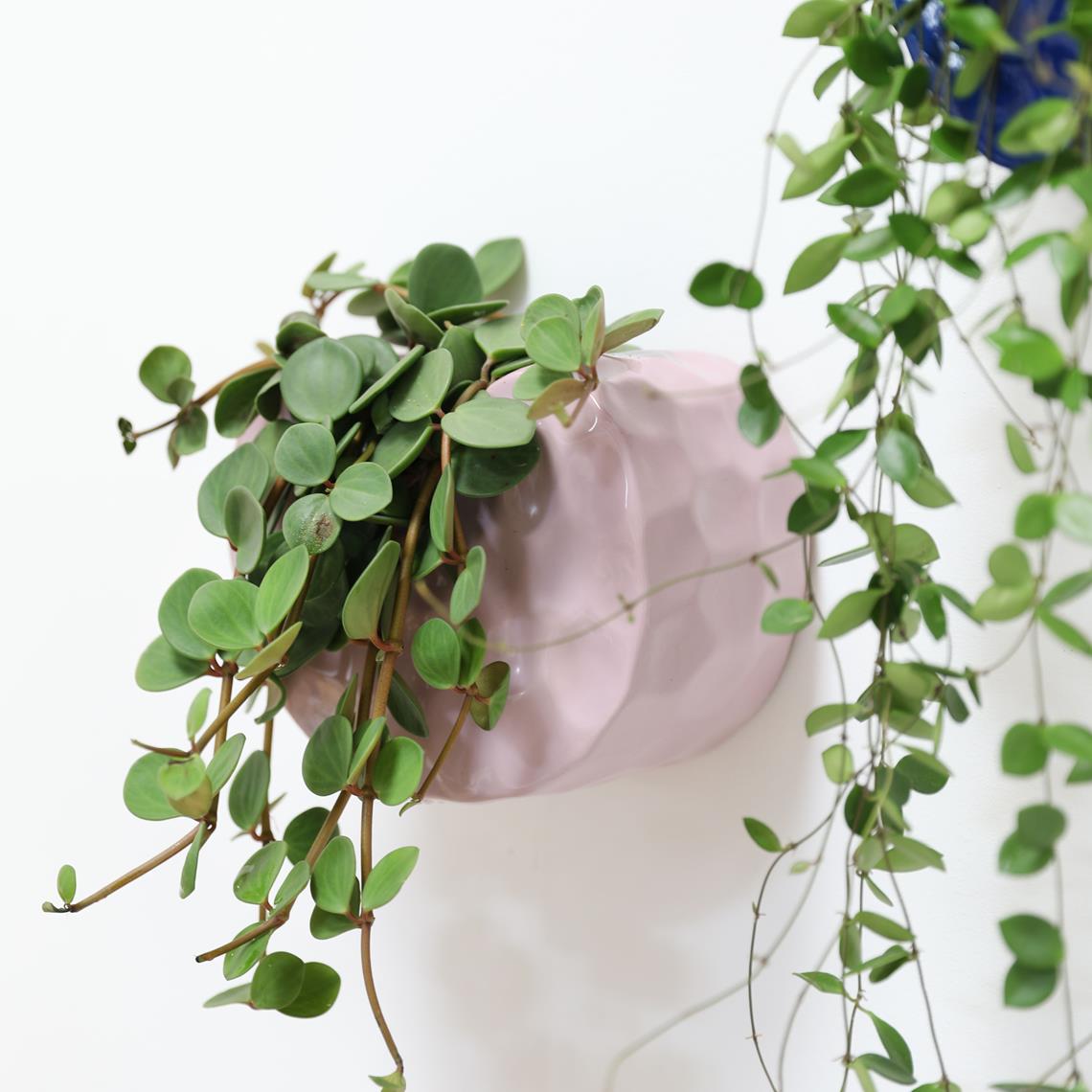 Planter clay lilac