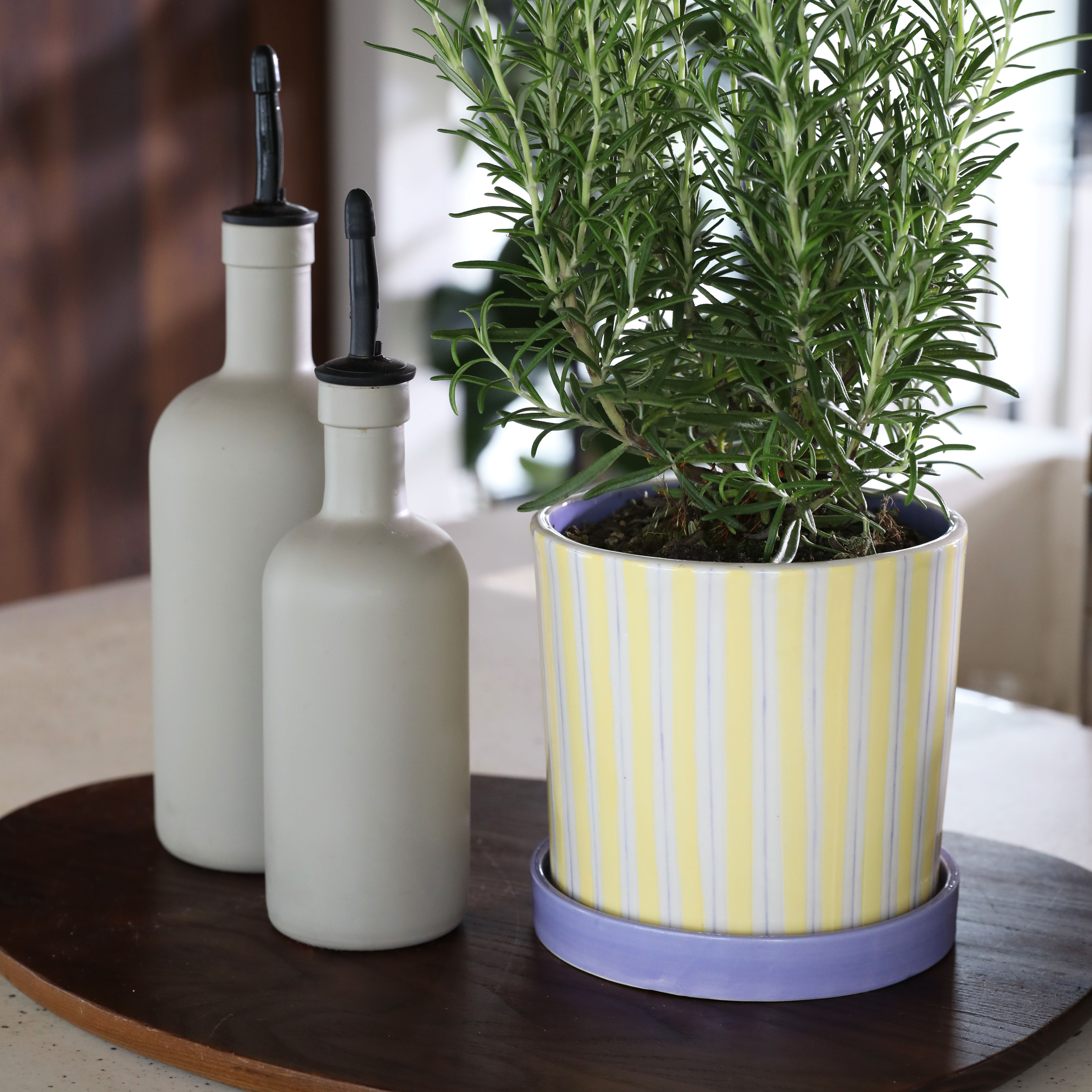 Planter ray yellow