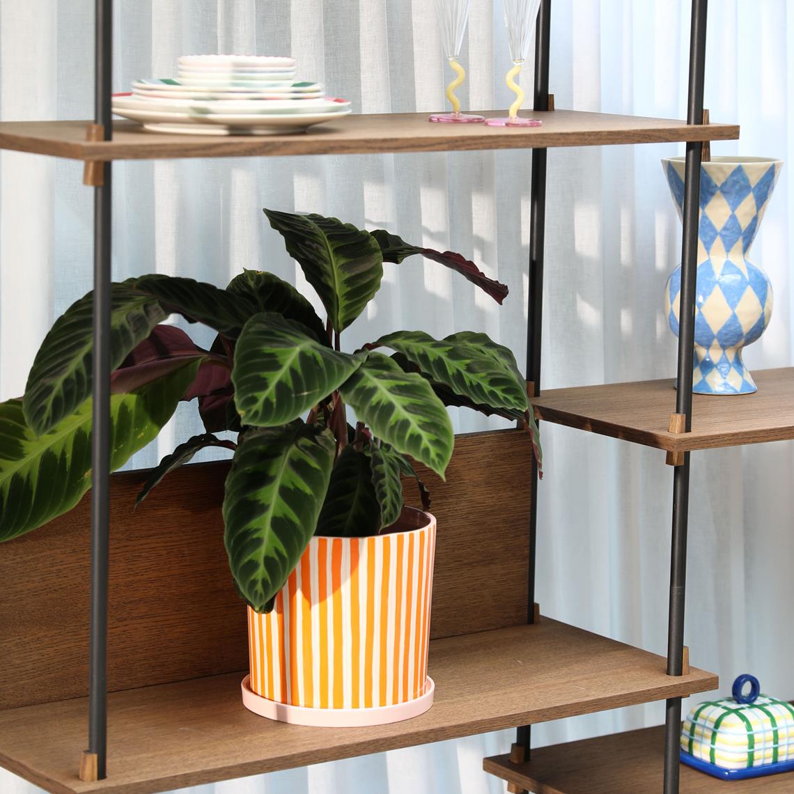 Planter ray orange