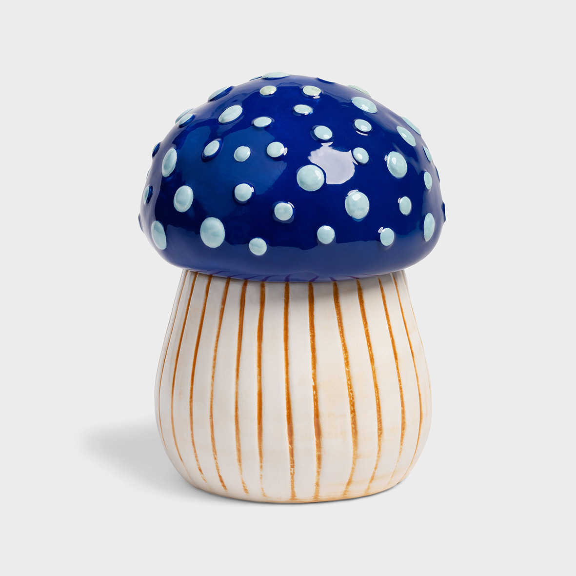 Jar magic mushroom medium
