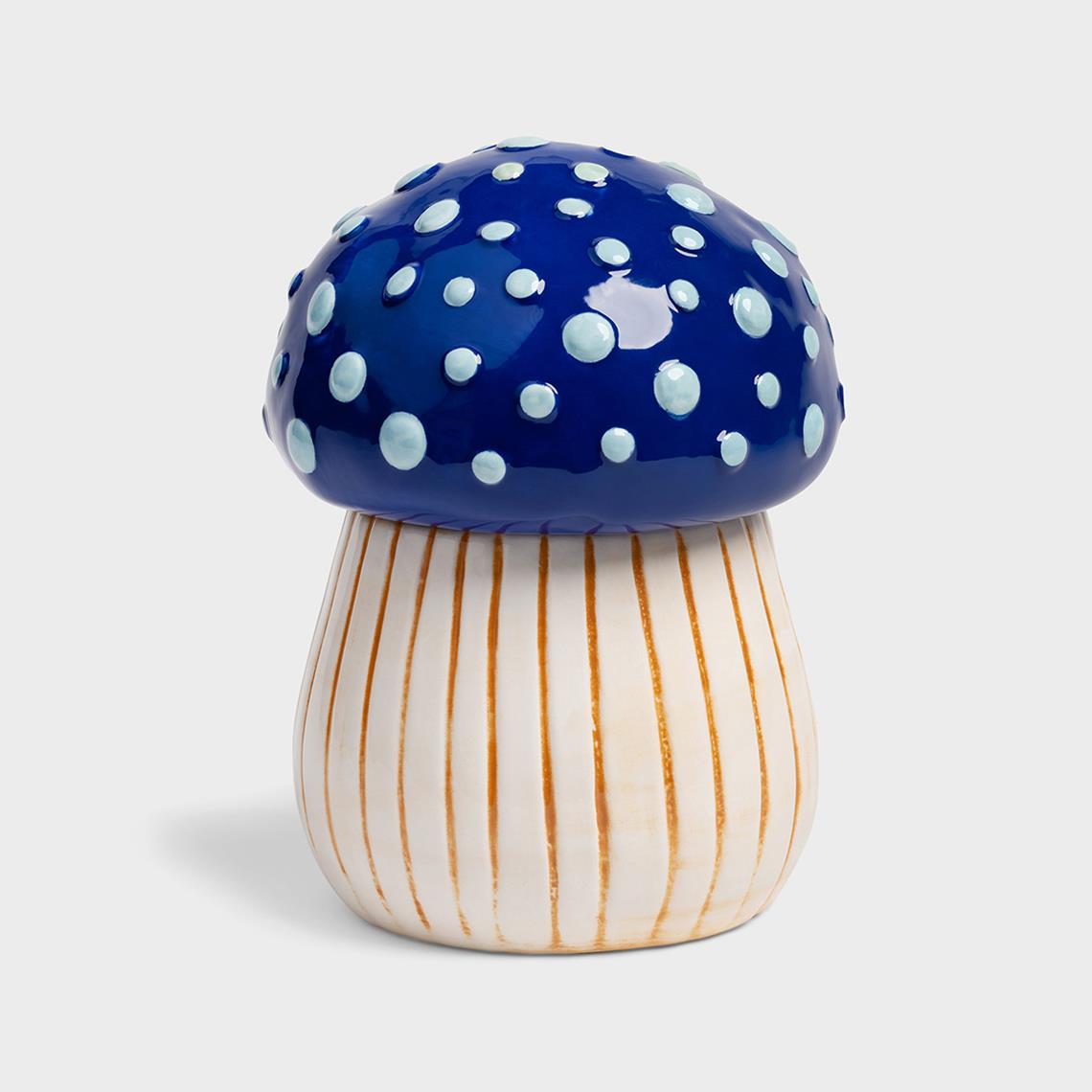 Jar magic mushroom medium