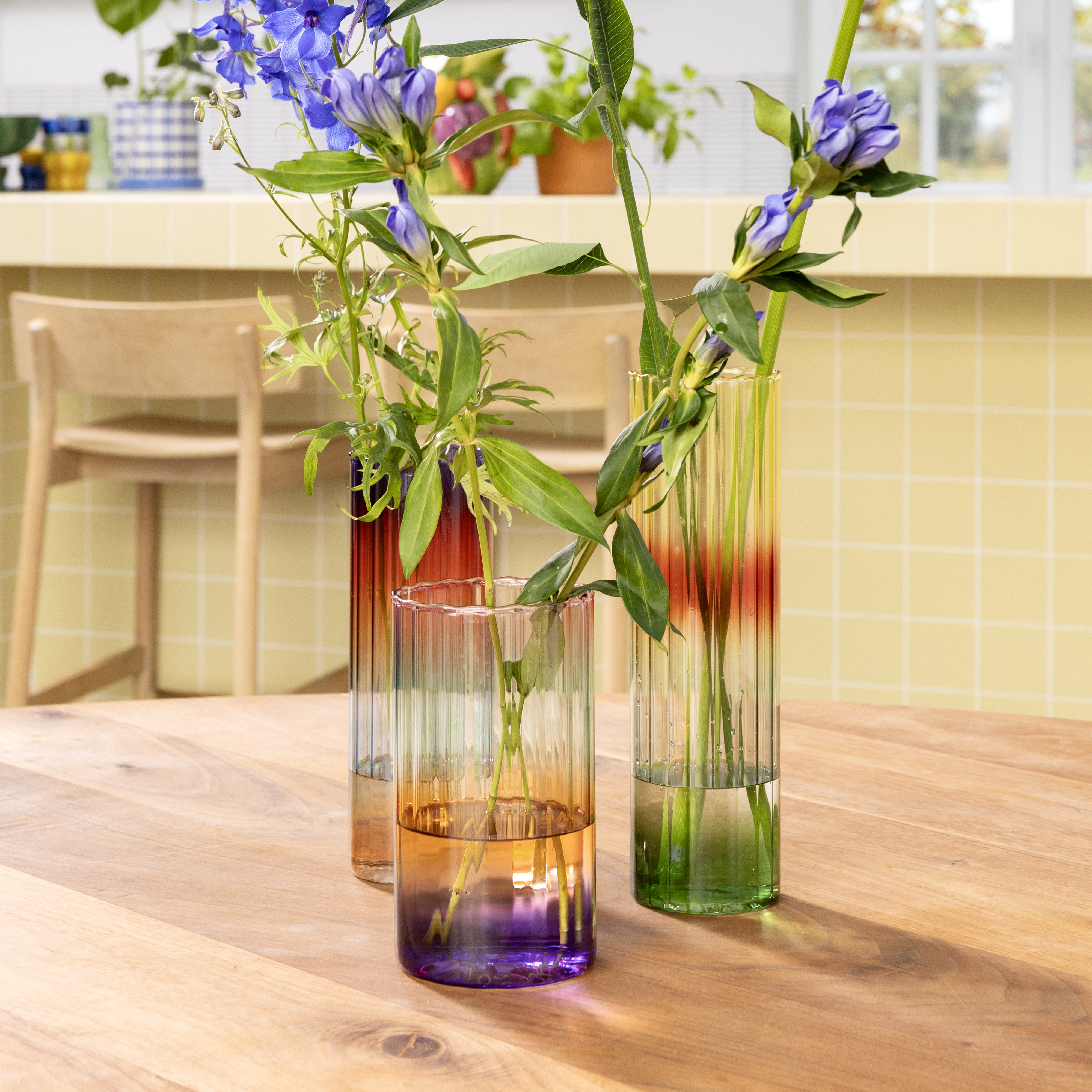 Vase gradient evening small